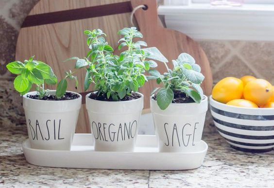 herb garden inspiration