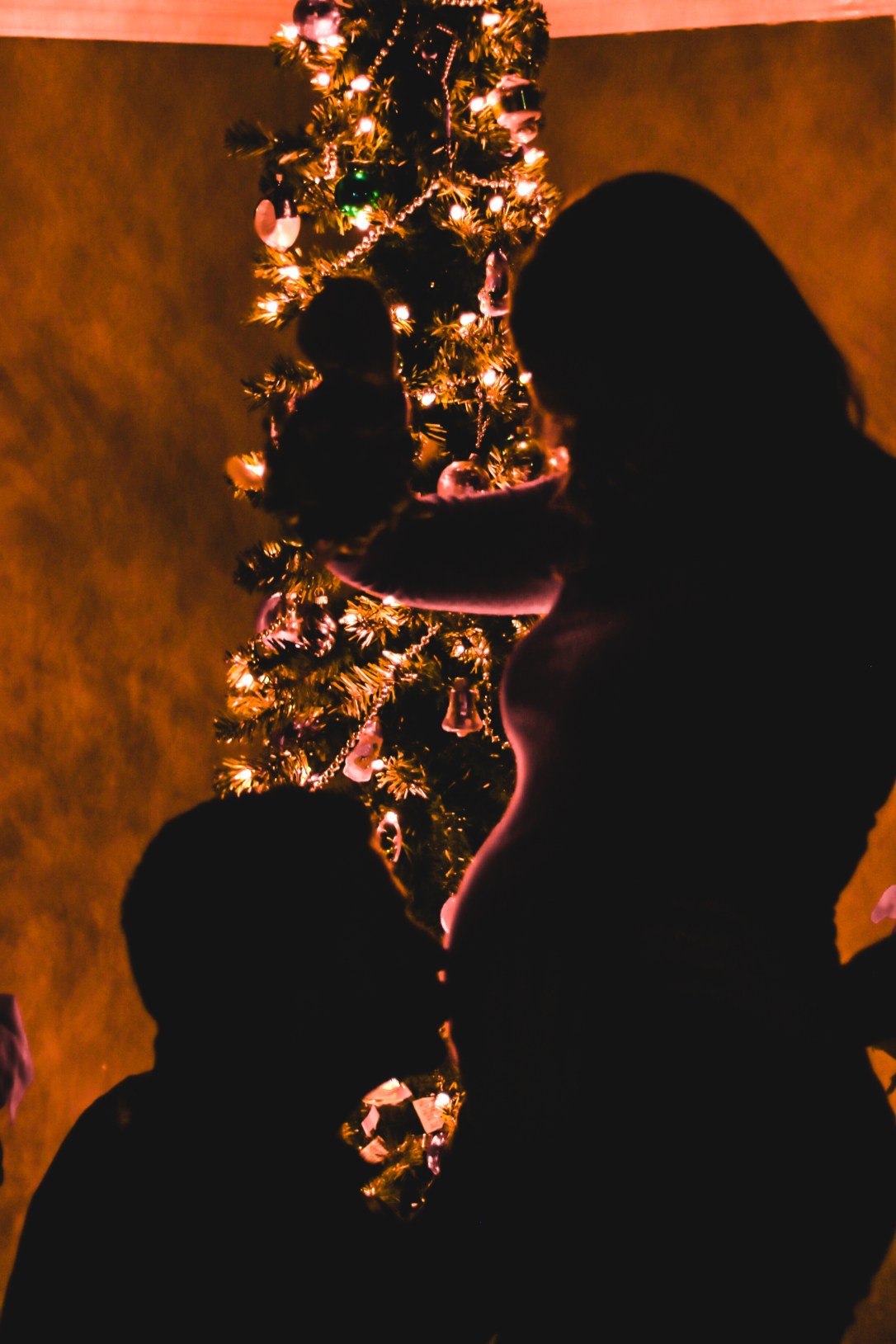 20191208-untitled27-08Dec19-9