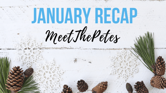 Jan Recap - Blog Banner
