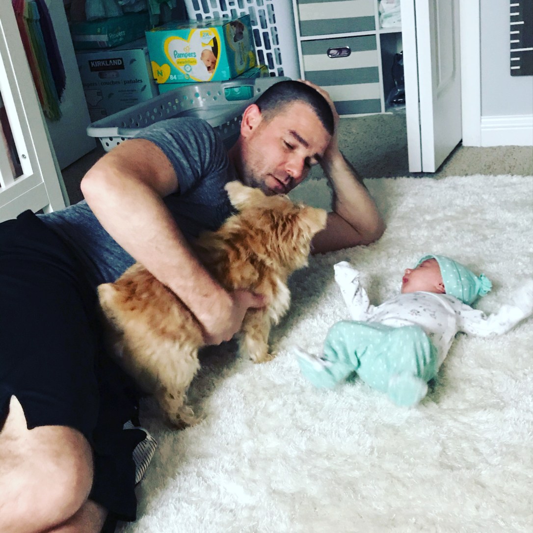 E0381727-BE87-4D58-9F0F-341064897028